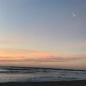 Meet your Posher, Daisha